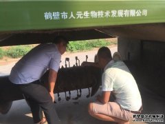 造成有机肥设备磨损的原因有哪些？